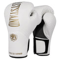 8/10/12/14oz Boxing gloves adult men's Sanda combat punching bag training women's thick breathable Muay Thai combat